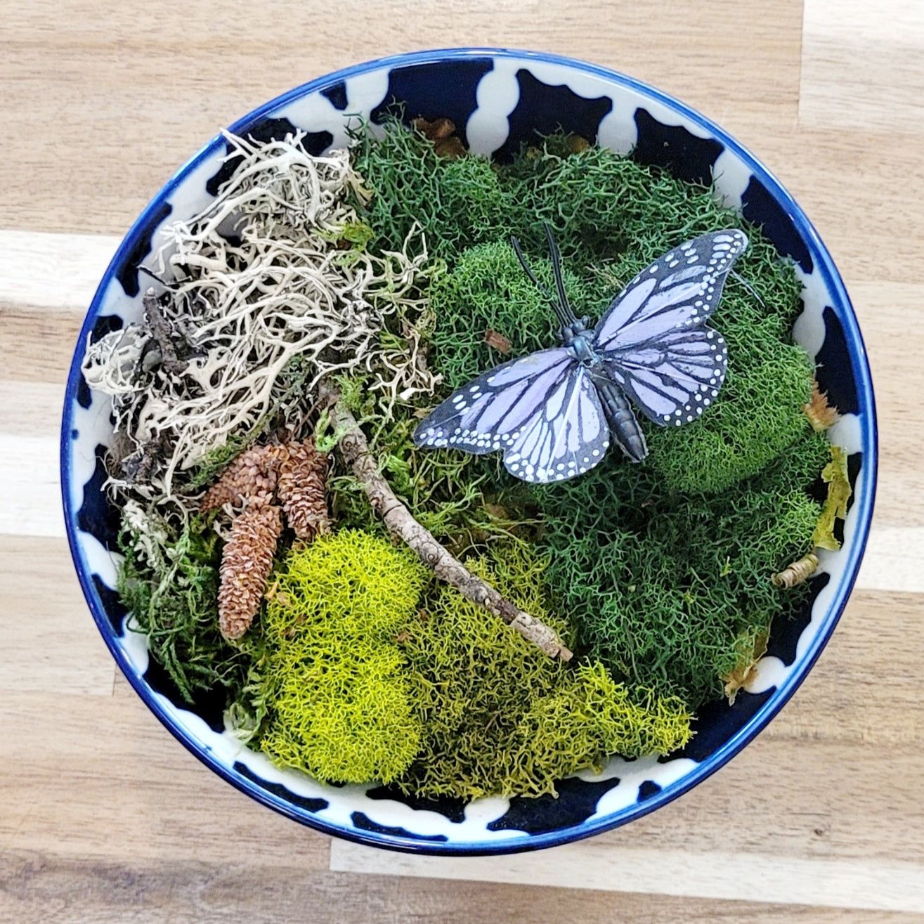 Moss Art Bowls - Patterned Ceramic Bowls