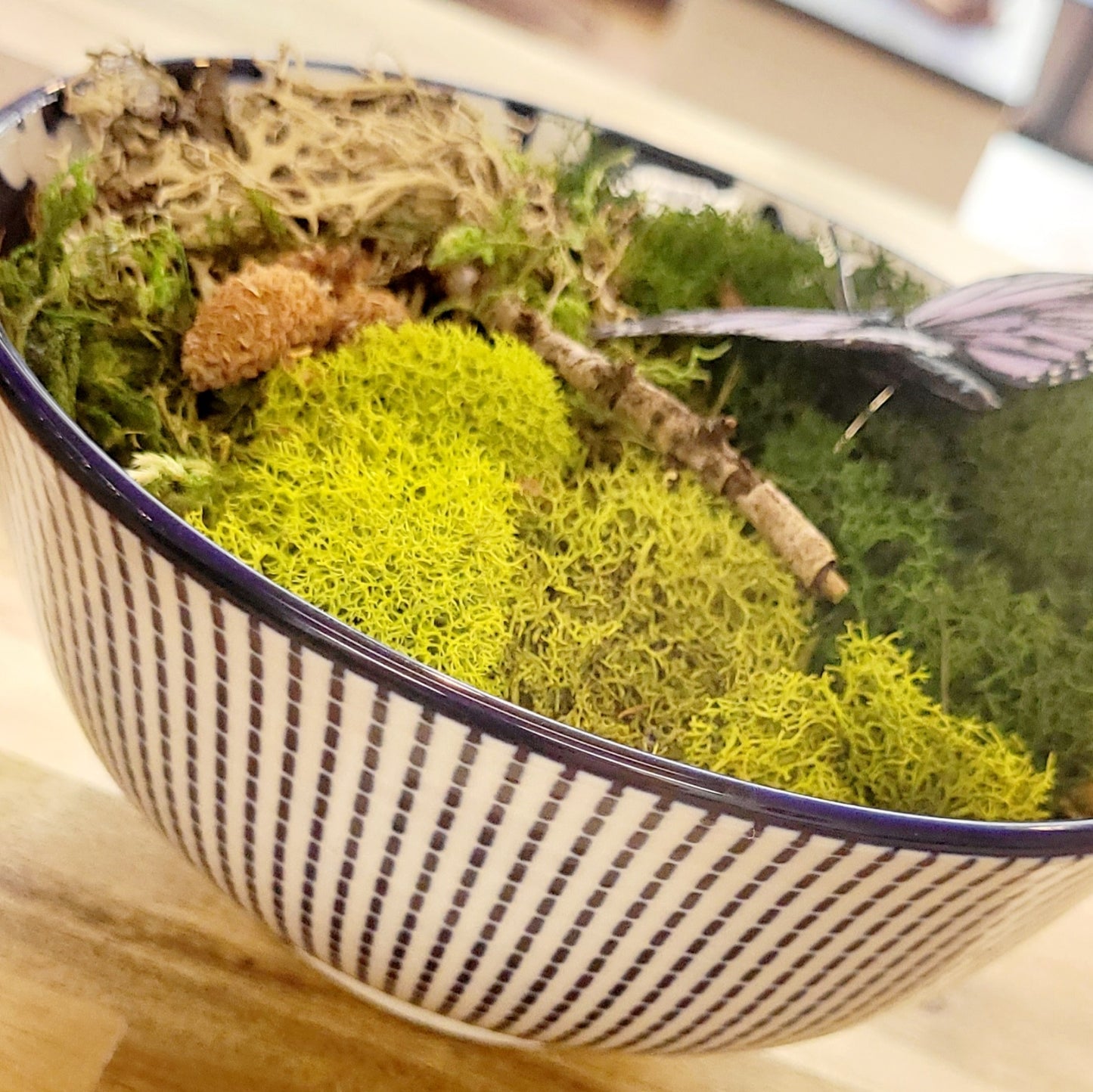 Moss Art Bowls - Patterned Ceramic Bowls