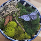 Moss Art Bowls - Patterned Ceramic Bowls