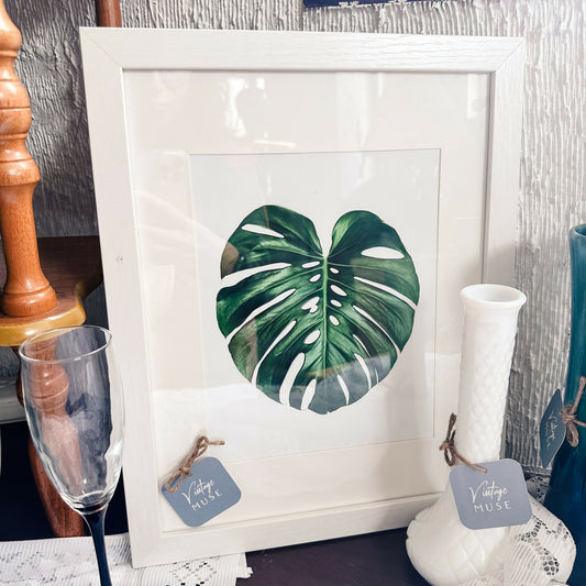 Monstera Print