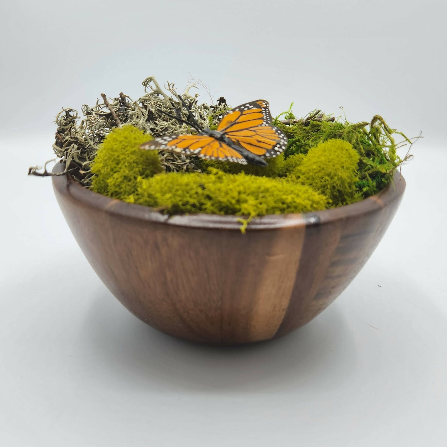 Moss Art Bowls - Acacia Wood Bowls