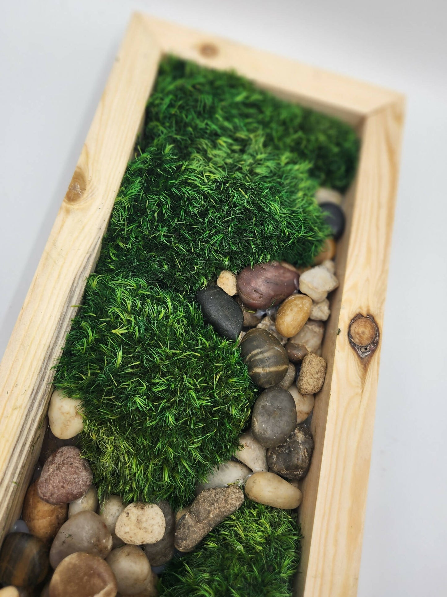 Moss Art 17" x 5.5"