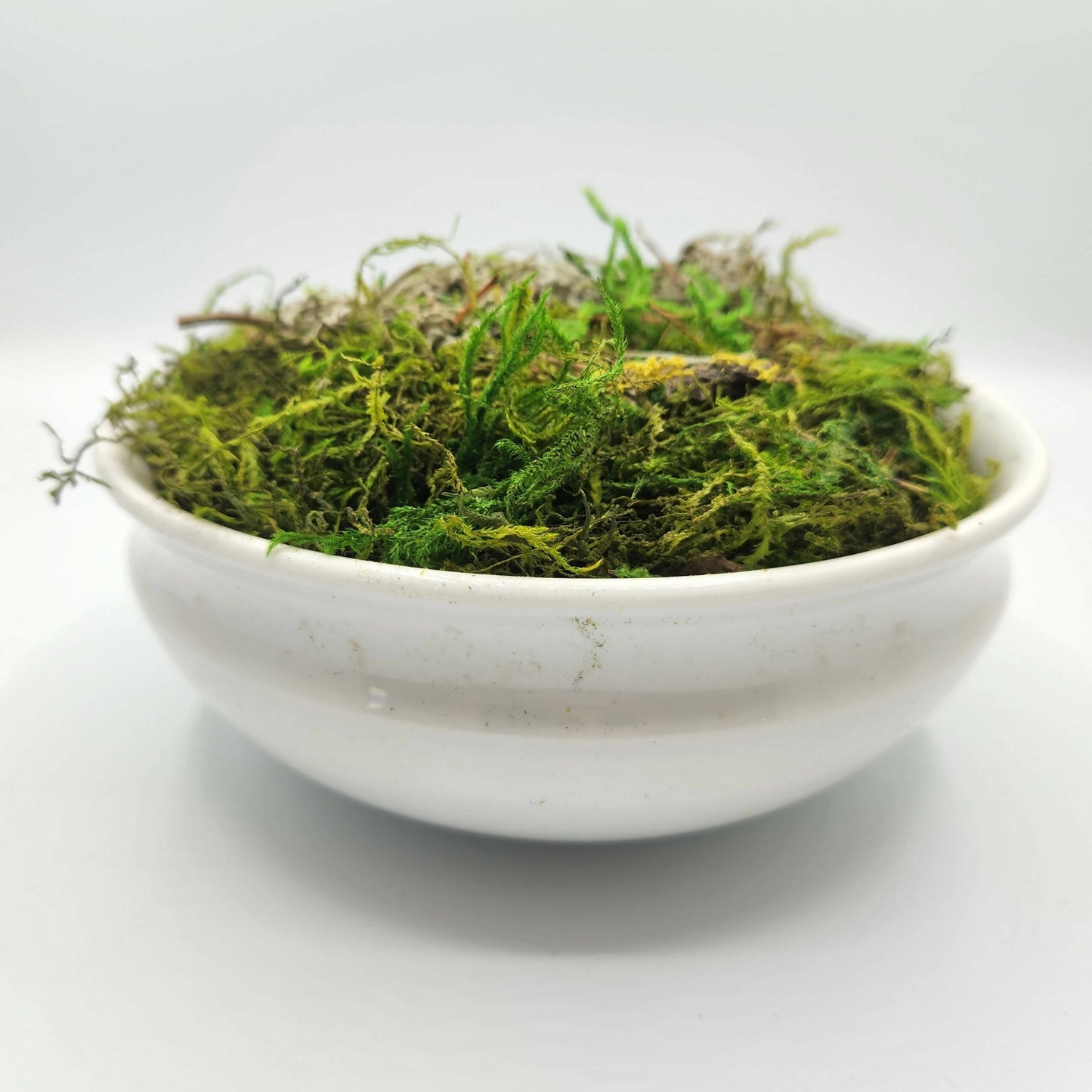 Moss Art Bowls - Patterned Ceramic Bowls