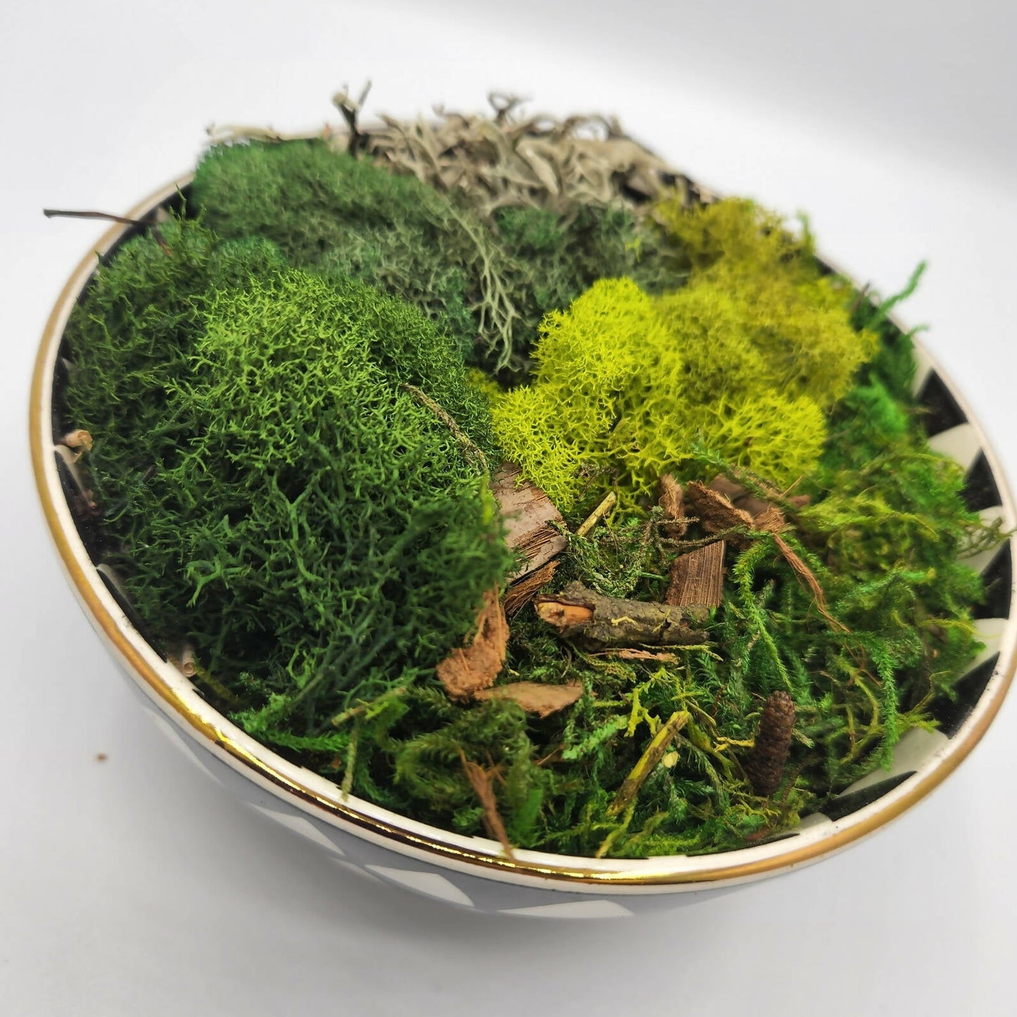 Moss Art Bowls - Patterned Ceramic Bowls