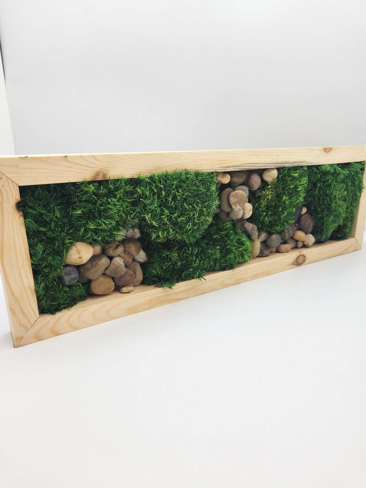 Moss Art 17" x 5.5"