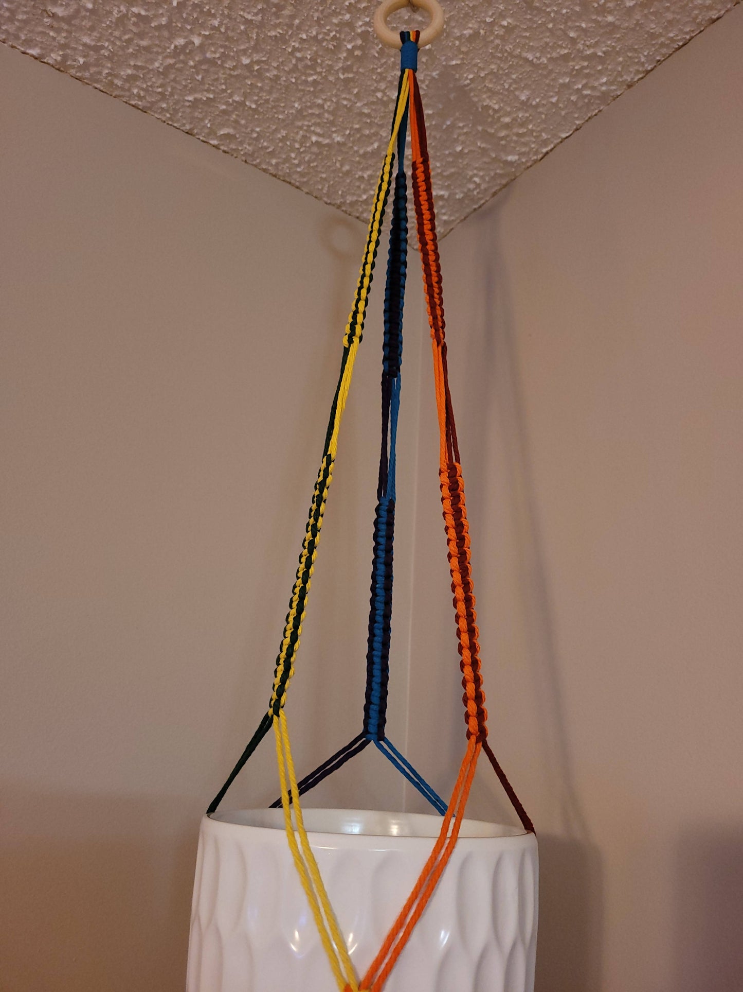 Macramé Rainbow Plant Hanger