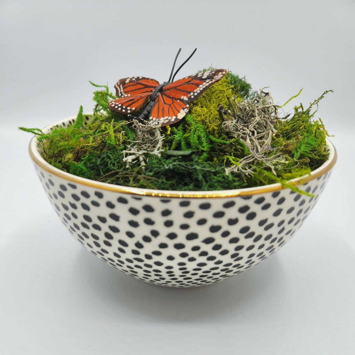 Moss Art Bowls - Patterned Ceramic Bowls