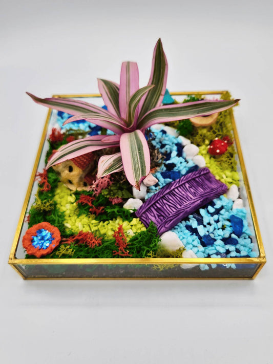 Miniature Enchanted Garden Kit - DIY Lg. Square Terrarium