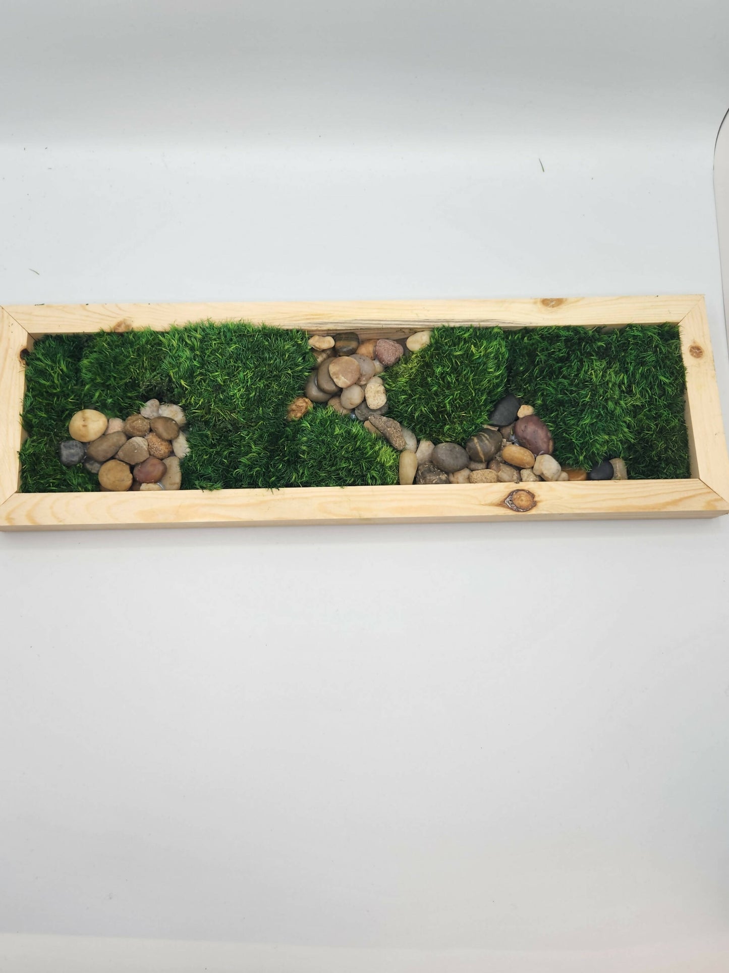 Moss Art 17" x 5.5"