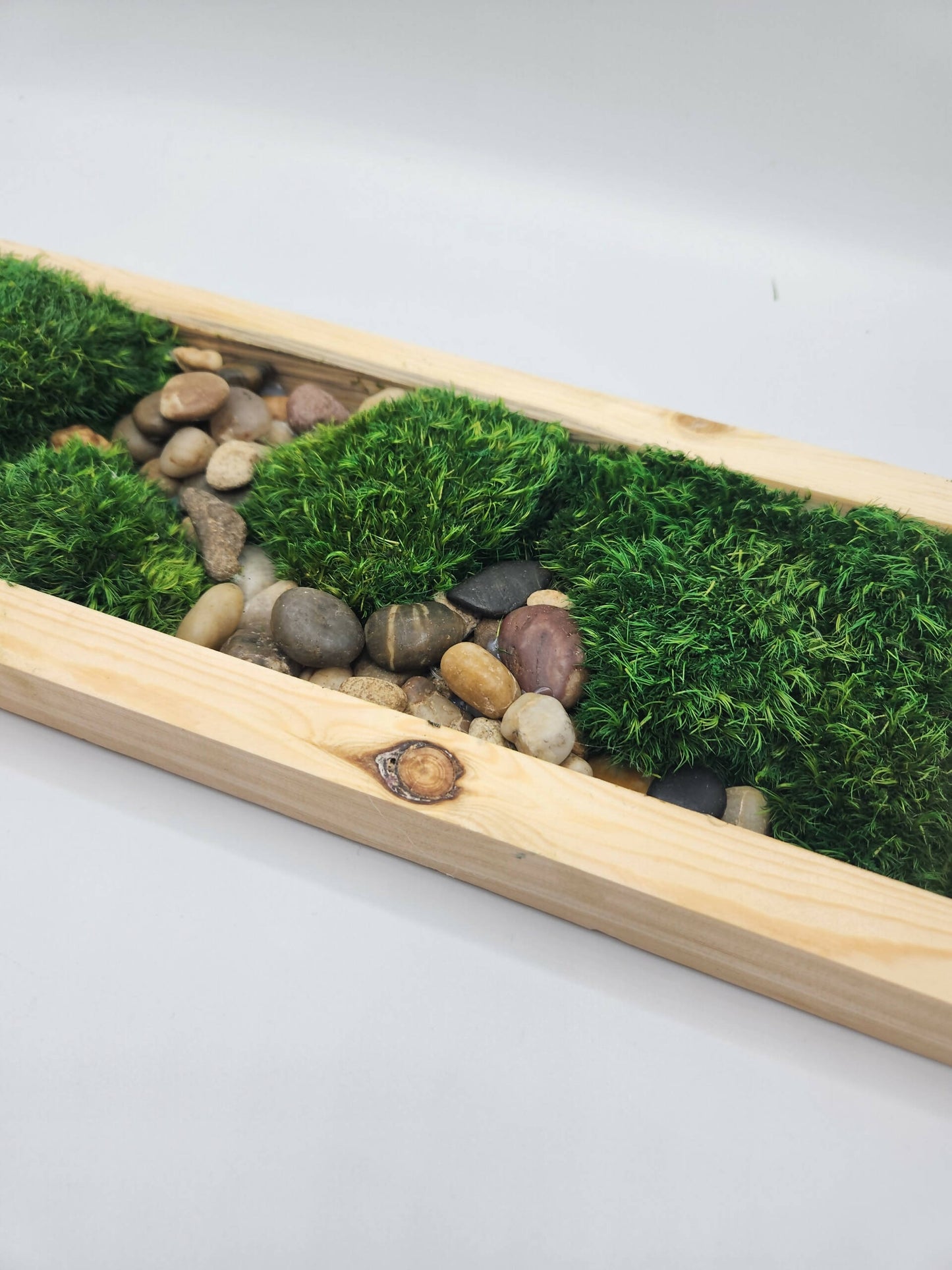 Moss Art 17" x 5.5"