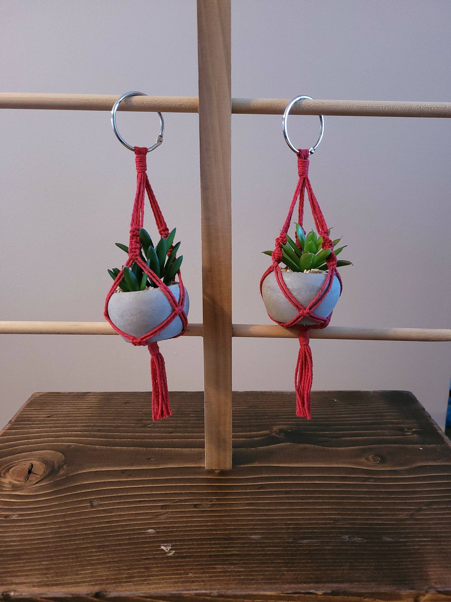 Mini Macramè Plant Hanger