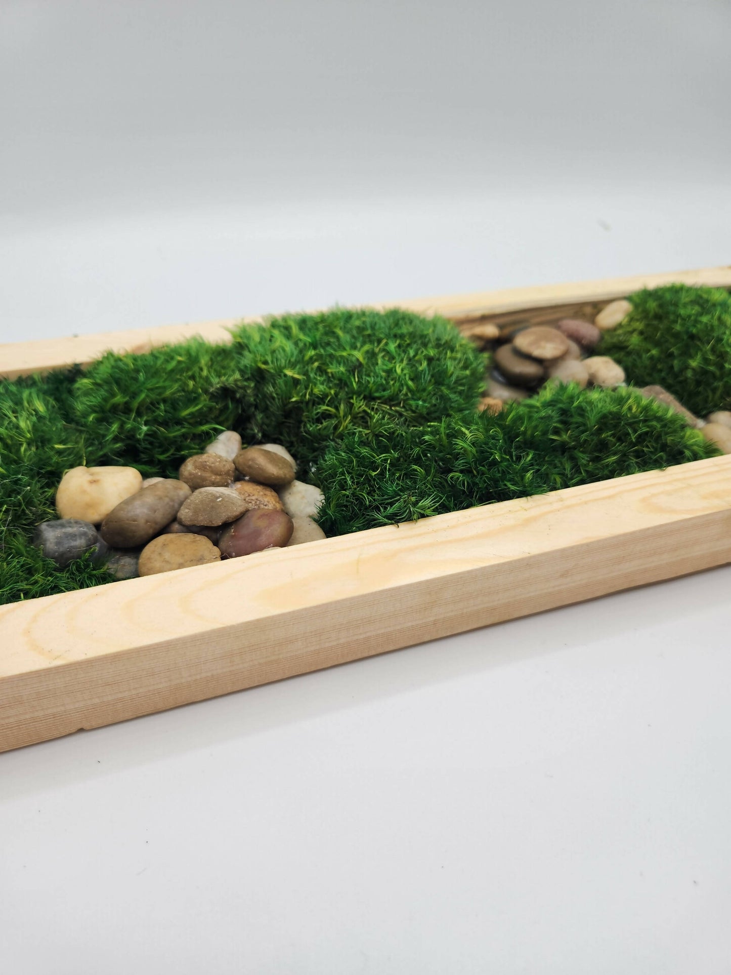 Moss Art 17" x 5.5"