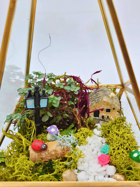 Miniature Enchanted Garden Kit - DIY Lg. Triangle Terrarium