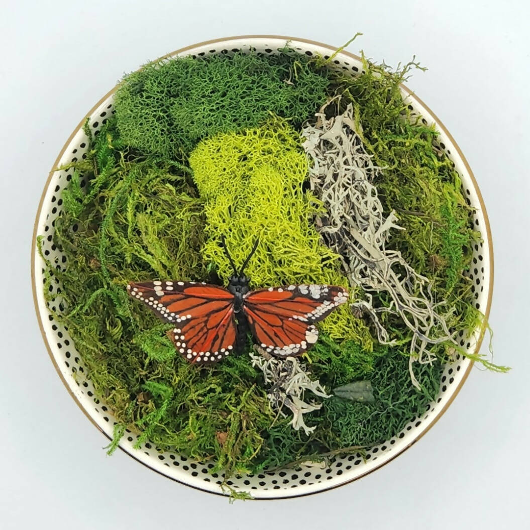 Moss Art Bowls - Patterned Ceramic Bowls