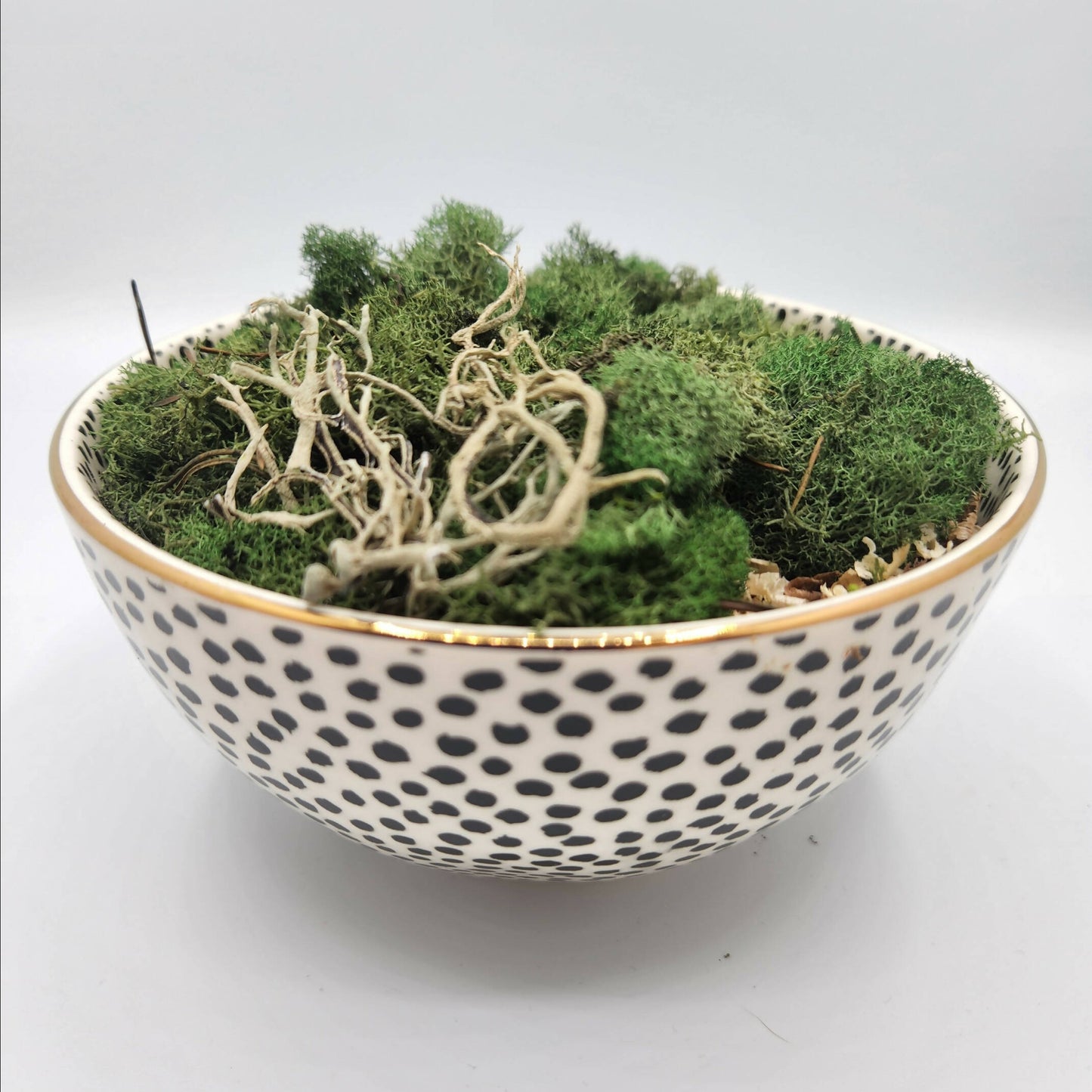 Moss Art Bowls - Patterned Ceramic Bowls